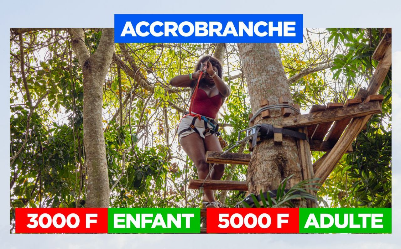 Accrobranche adulte